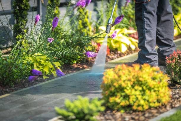 Professional  Pressure Washing Services in Huachuca City, AZ